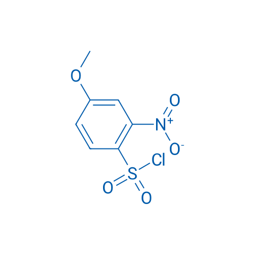 4-Methoxy-2-nitrobenzenesulfonyl chloride 5g