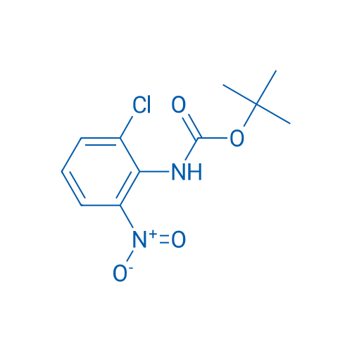 tert-Butyl (2-chloro-6-nitrophenyl)carbamate 1g