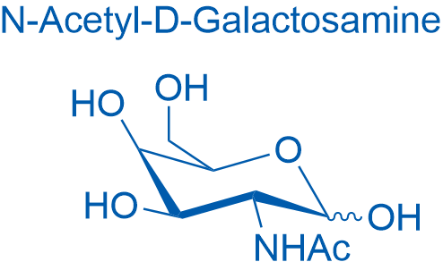 D-N-Acetylgalactosamine 250mg