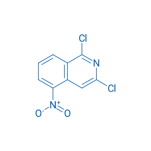 1,3-Dichloro-5-nitroisoquinoline 100mg