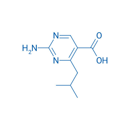2-Amino-4-(2-methylpropyl)pyrimidine-5-carboxylic acid 1g