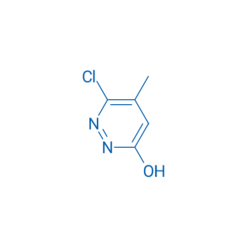 6-Chloro-5-methylpyridazin-3-ol 1g