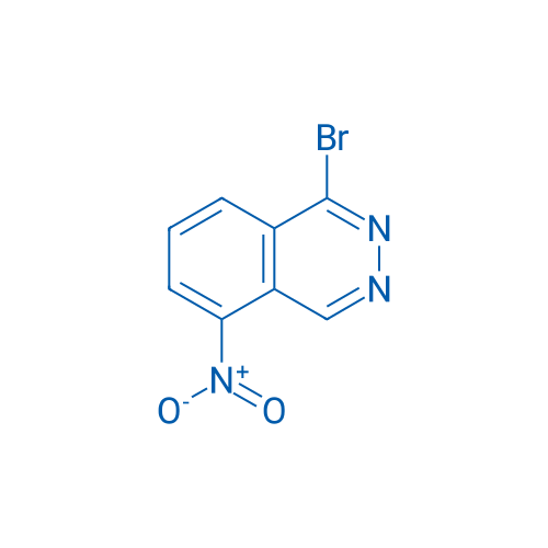 1-Bromo-5-nitrophthalazine 1g