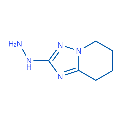 5H,6H,7H,8H-[1,2,4]Triazolo[1,5-a]pyridin-2-ylhydrazine 1g