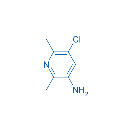 5-Chloro-2,6-dimethylpyridin-3-amine 1g