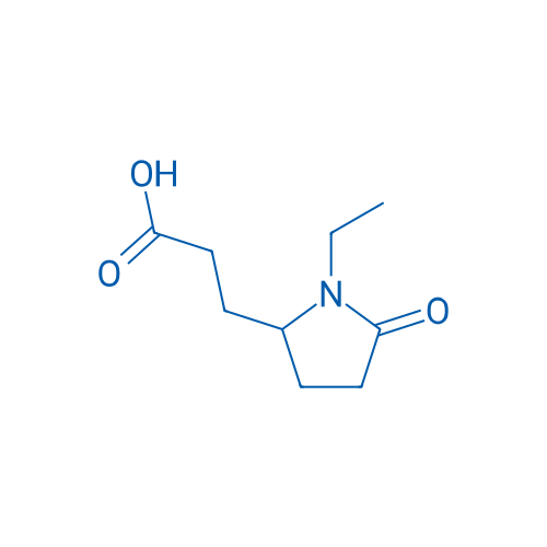 3-(1-Ethyl-5-oxopyrrolidin-2-yl)propanoic acid 250mg