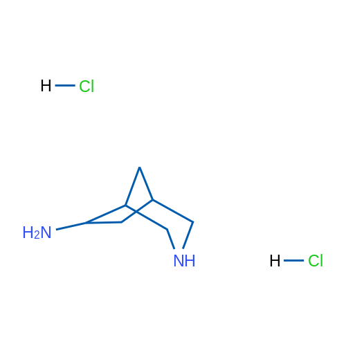 3-Azabicyclo[3.2.1]octan-6-amine dihydrochloride 1g