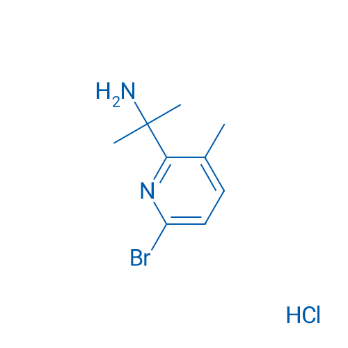 2-(6-Bromo-3-methylpyridin-2-yl)propan-2-amine hydrochloride 1g