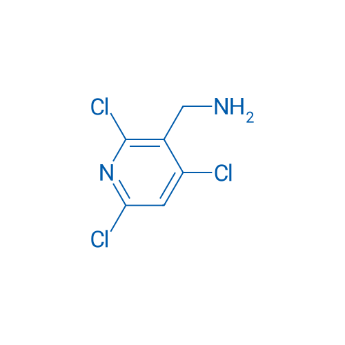 (2,4,6-Trichloropyridin-3-yl)methanamine 10g