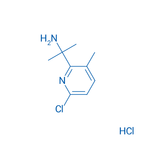 2-(6-Chloro-3-methylpyridin-2-yl)propan-2-amine hydrochloride 1g