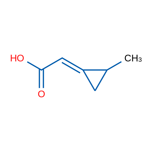 2-(2-Methylcyclopropylidene)acetic acid 1g