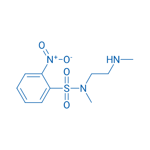 N-methyl-n-[2-(methylamino)ethyl]-2-nitrobenzene-1-sulfonamide 1g