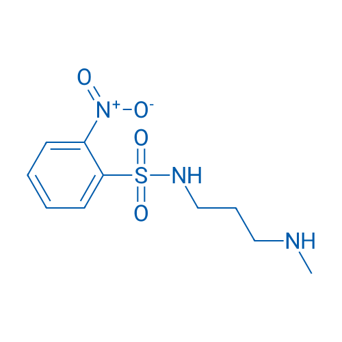 N-[3-(methylamino)propyl]-2-nitrobenzene-1-sulfonamide 1g