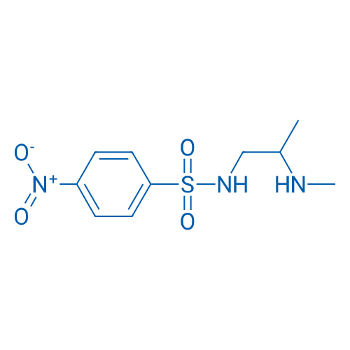 N-[2-(Methylamino)propyl]-4-nitrobenzene-1-sulfonamide 1g
