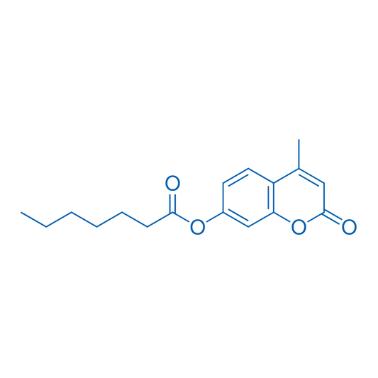 4-Methylumbelliferyl heptanoate 250mg