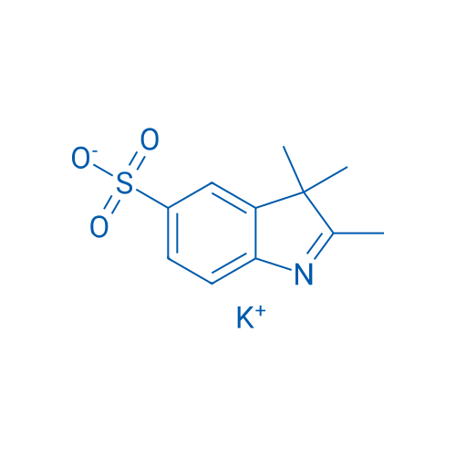 Potassium 2,3,3-trimethyl-3H-indole-5-sulfonate 25g