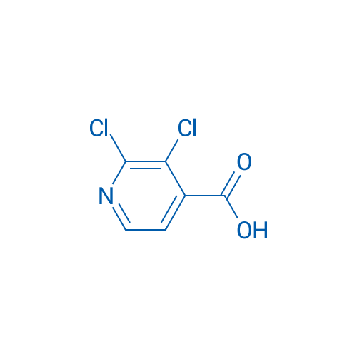 2,3-Dichloroisonicotinic acid 25g