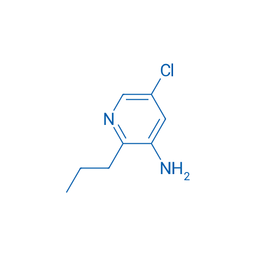 5-Chloro-2-propylpyridin-3-amine 1g