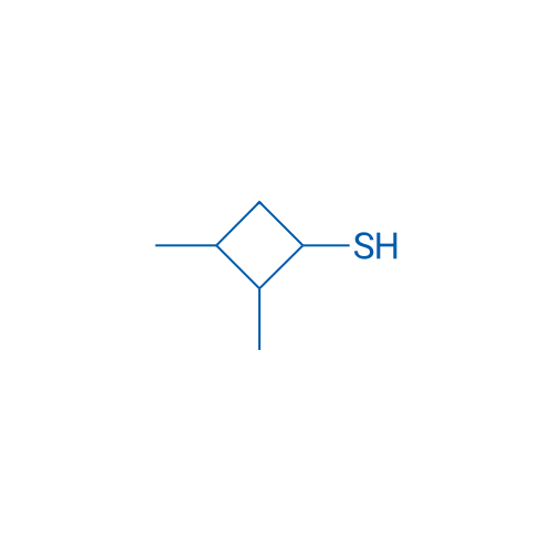 2,3-Dimethylcyclobutane-1-thiol 1g