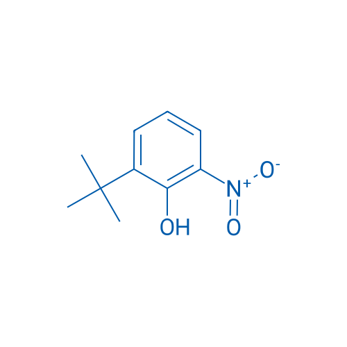 2-(tert-Butyl)-6-nitrophenol 1g