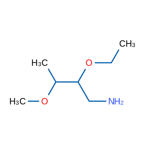 2-Ethoxy-3-methoxybutan-1-amine 1g