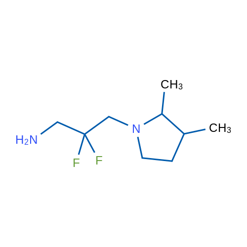 3-(2,3-Dimethylpyrrolidin-1-yl)-2,2-difluoropropan-1-amine 1g