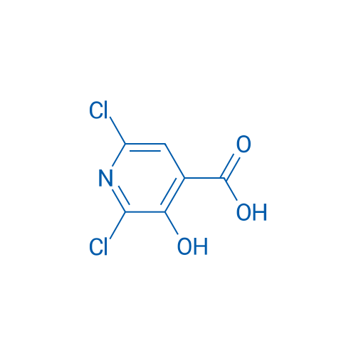 2,6-Dichloro-3-hydroxyisonicotinic acid 1g