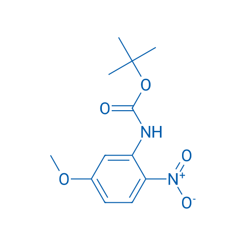 tert-Butyl (5-methoxy-2-nitrophenyl)carbamate 100mg