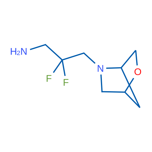 2,2-Difluoro-3-{2-oxa-5-azabicyclo[2.2.1]heptan-5-yl}propan-1-amine 1g
