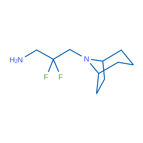 3-{8-azabicyclo[3.2.1]octan-8-yl}-2,2-difluoropropan-1-amine 1g