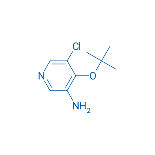 4-(tert-Butoxy)-5-chloropyridin-3-amine 1g