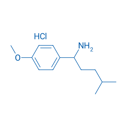 1-(4-Methoxyphenyl)-4-methylpentan-1-amine hydrochloride 1g