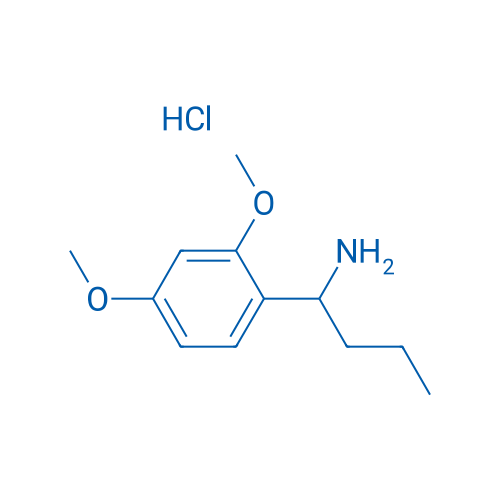 1-(2,4-Dimethoxyphenyl)butan-1-amine hydrochloride 1g