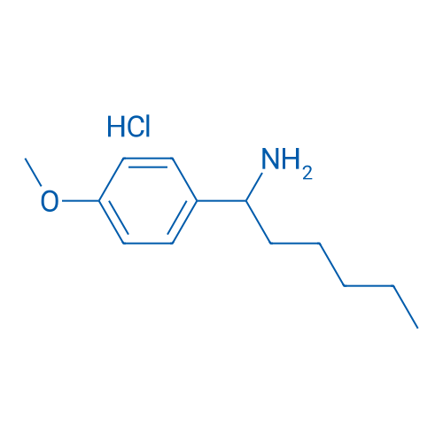1-(4-Methoxyphenyl)hexan-1-amine hydrochloride 1g