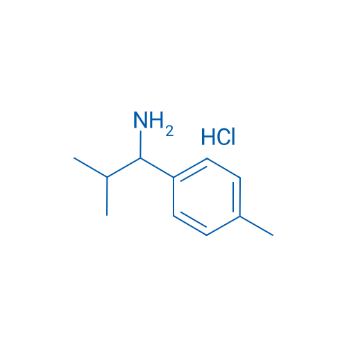 2-Methyl-1-(4-methylphenyl)propan-1-amine hydrochloride 1g
