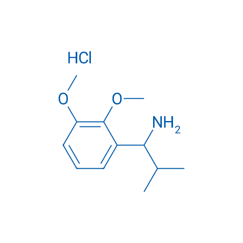 1-(2,3-Dimethoxyphenyl)-2-methylpropan-1-amine hydrochloride 1g