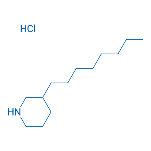 3-Octylpiperidine hydrochloride 1g