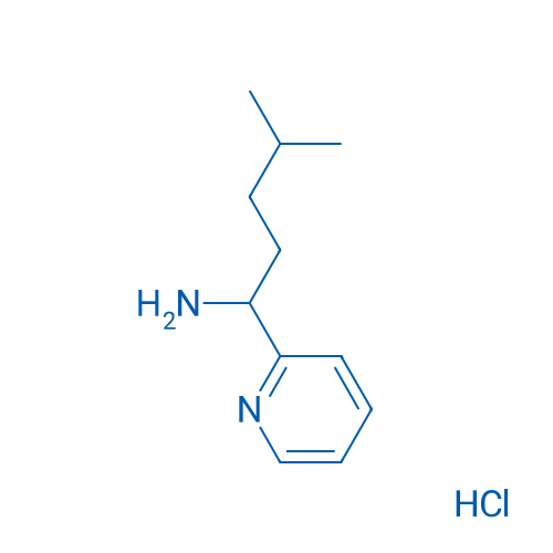 4-Methyl-1-(pyridin-2-yl)pentan-1-amine hydrochloride 1g
