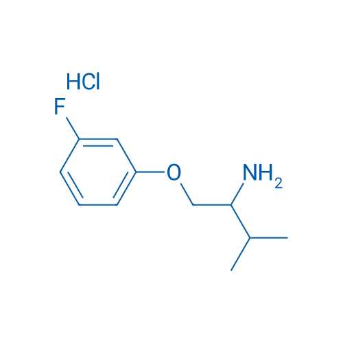 1-(3-Fluorophenoxy)-3-methylbutan-2-amine hydrochloride 5g