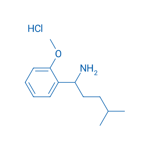 1-(2-Methoxyphenyl)-4-methylpentan-1-amine hydrochloride 1g