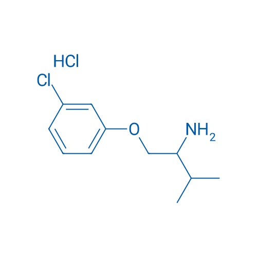 1-(3-Chlorophenoxy)-3-methylbutan-2-amine hydrochloride 1g
