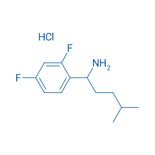 1-(2,4-Difluorophenyl)-4-methylpentan-1-amine hydrochloride 1g