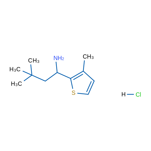3,3-Dimethyl-1-(3-methylthiophen-2-yl)butan-1-amine hydrochloride 1g