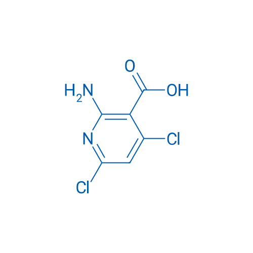2-Amino-4,6-dichloronicotinic acid 100mg
