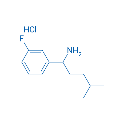 1-(3-Fluorophenyl)-4-methylpentan-1-amine hydrochloride 1g