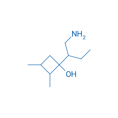 1-(1-Aminobutan-2-yl)-2,3-dimethylcyclobutan-1-ol 1g