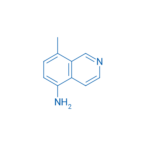 8-Methylisoquinolin-5-amine 1g