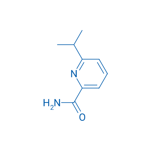 6-Isopropylpicolinamide 250mg