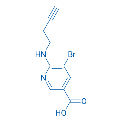 5-Bromo-6-[(but-3-yn-1-yl)amino]pyridine-3-carboxylic acid 1g