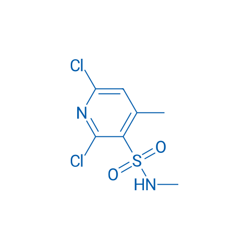 2,6-Dichloro-N,4-dimethylpyridine-3-sulfonamide 1g